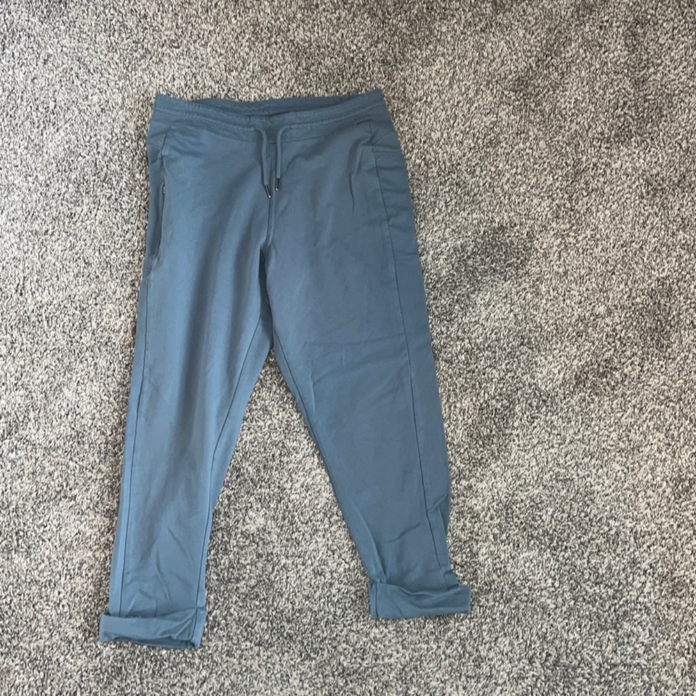 Patagonia sweat pants